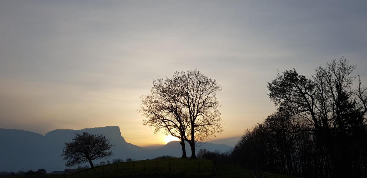 Gite Clair, Spacieux Et Cosy Avec Vue Sur Le Massif De La Chartreuse Sainte-Helene-du-Lac Eksteriør bilde