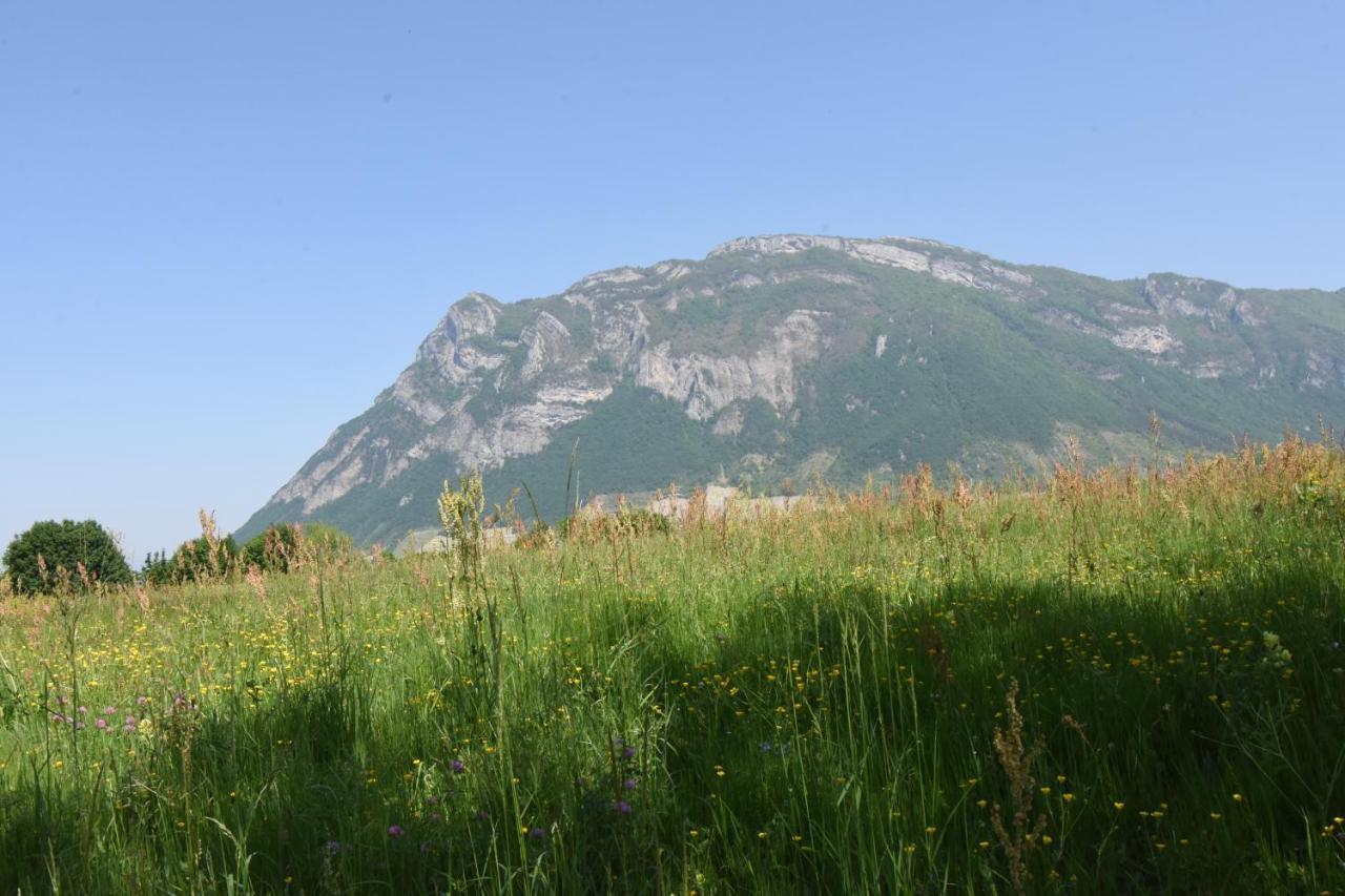 Gite Clair, Spacieux Et Cosy Avec Vue Sur Le Massif De La Chartreuse Sainte-Helene-du-Lac Eksteriør bilde
